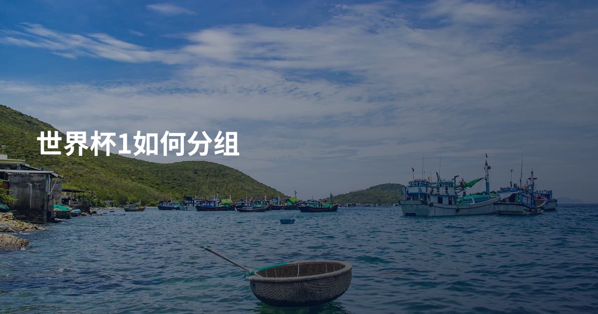 世界杯1如何分组
