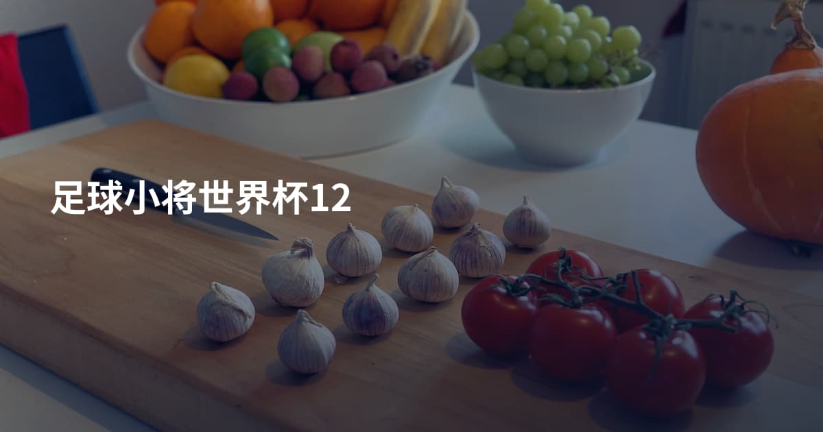 足球小将世界杯12