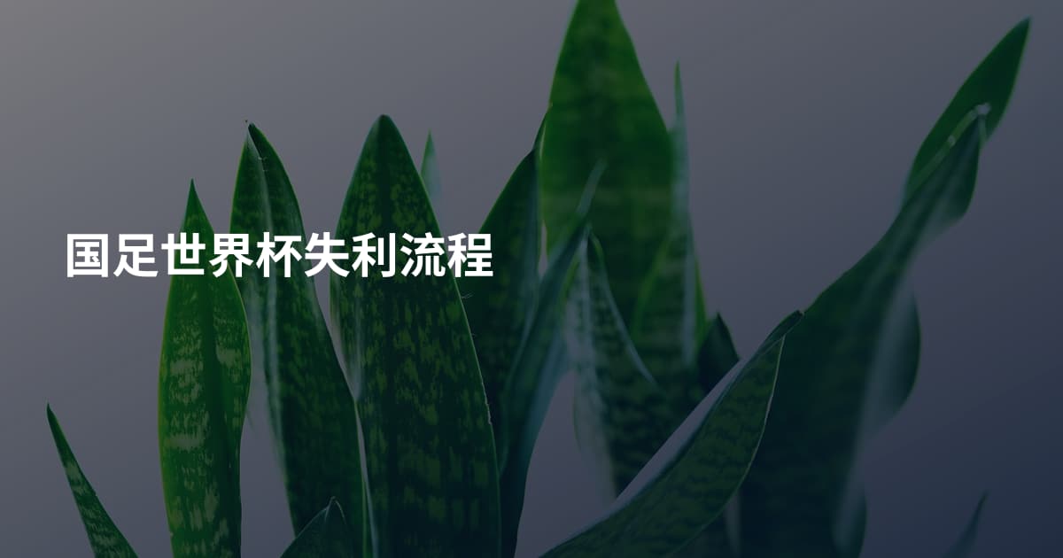 国足世界杯失利流程