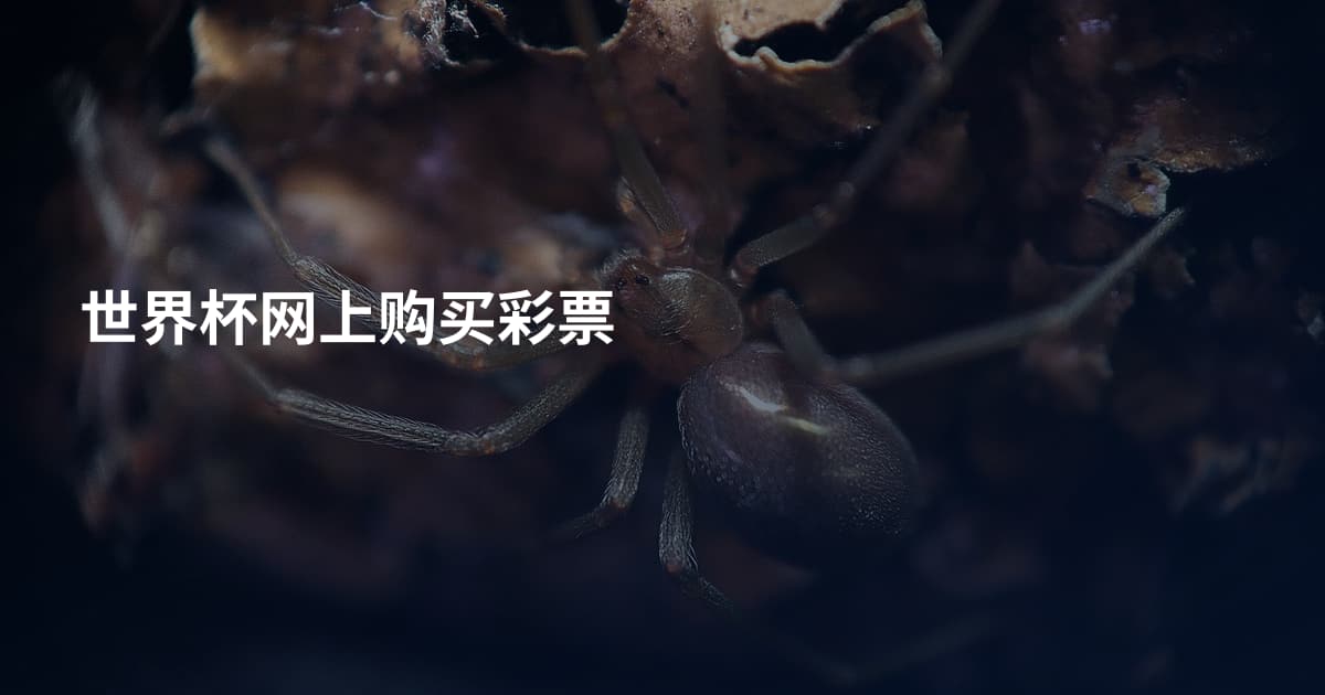 世界杯网上购买彩票