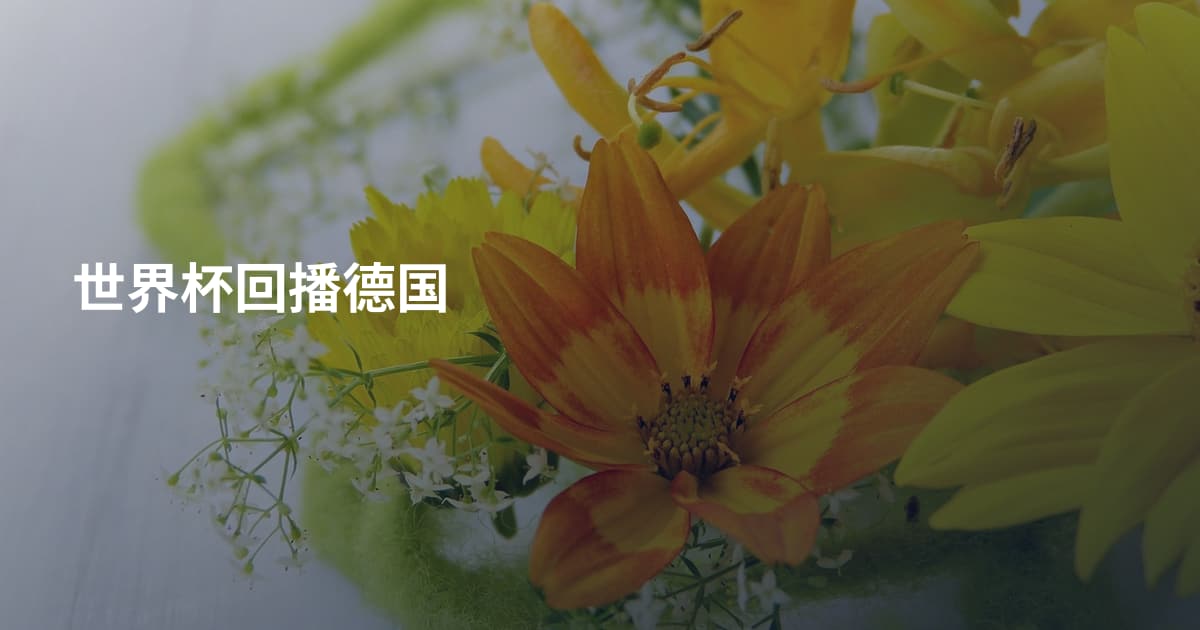 世界杯回播德国