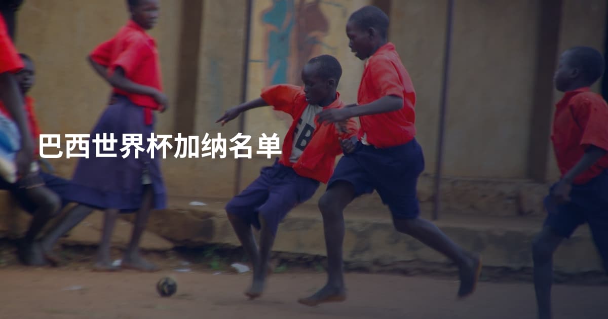巴西世界杯加纳名单