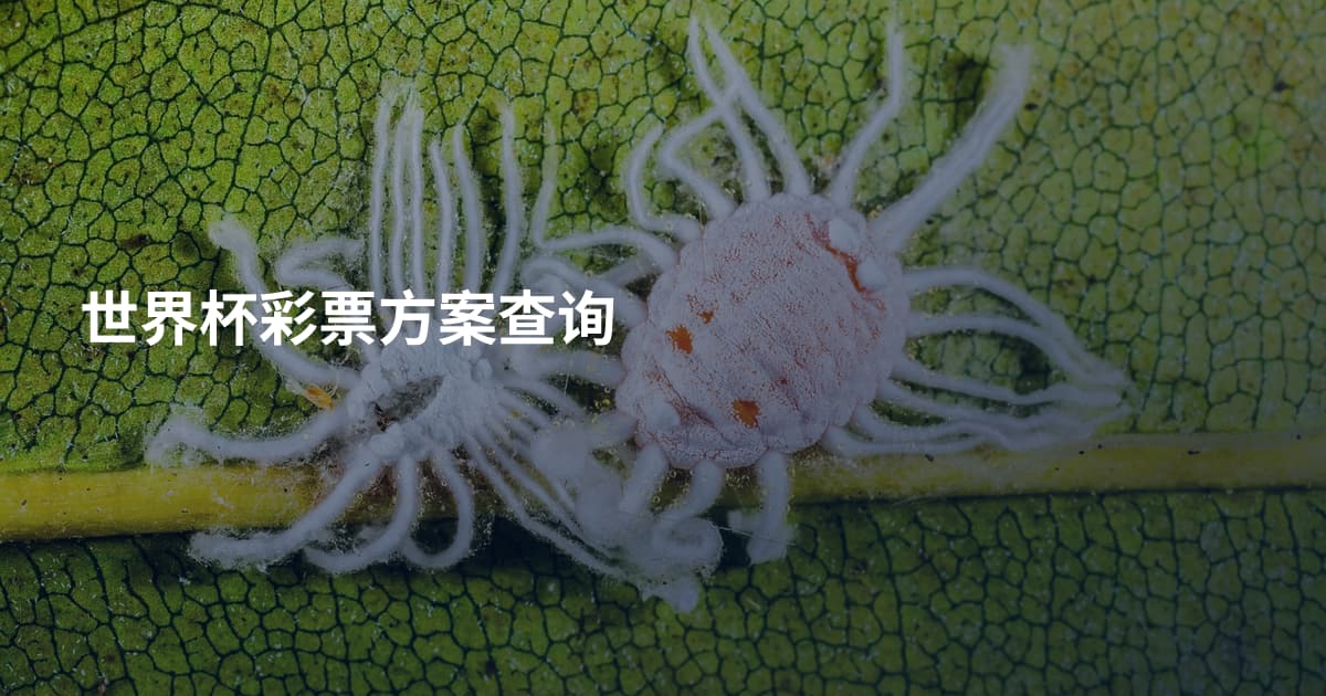 世界杯彩票方案查询