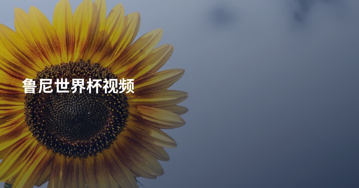 鲁尼世界杯视频
