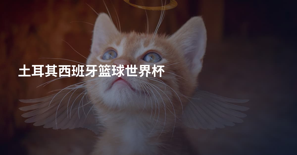 土耳其西班牙篮球世界杯
