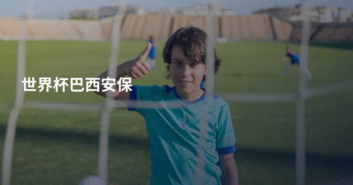 世界杯巴西安保