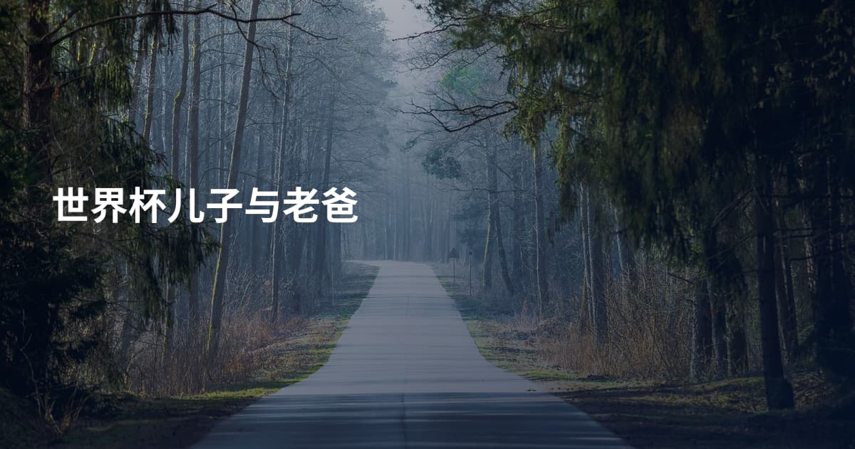 世界杯儿子与老爸