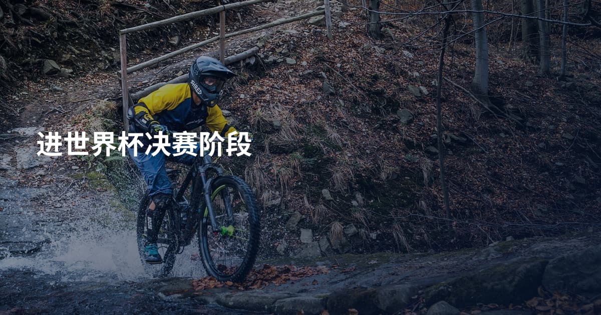 进世界杯决赛阶段