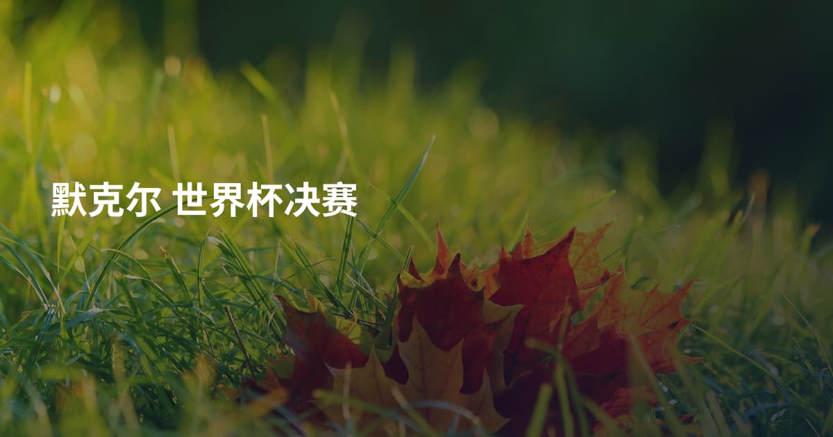 默克尔 世界杯决赛