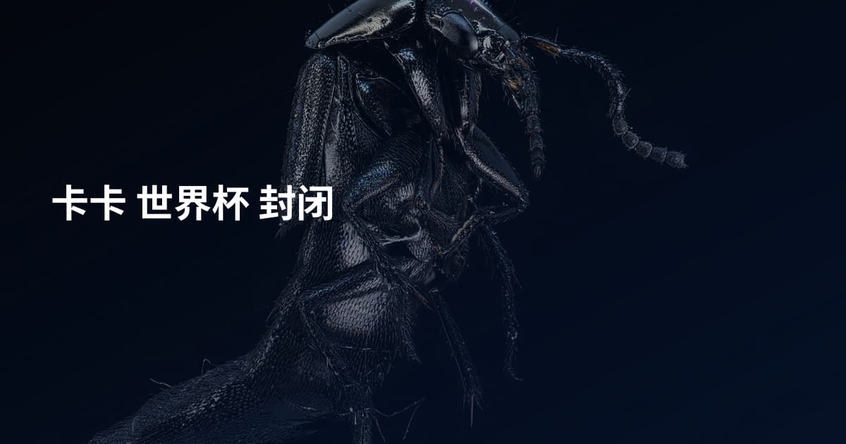 卡卡 世界杯 封闭
