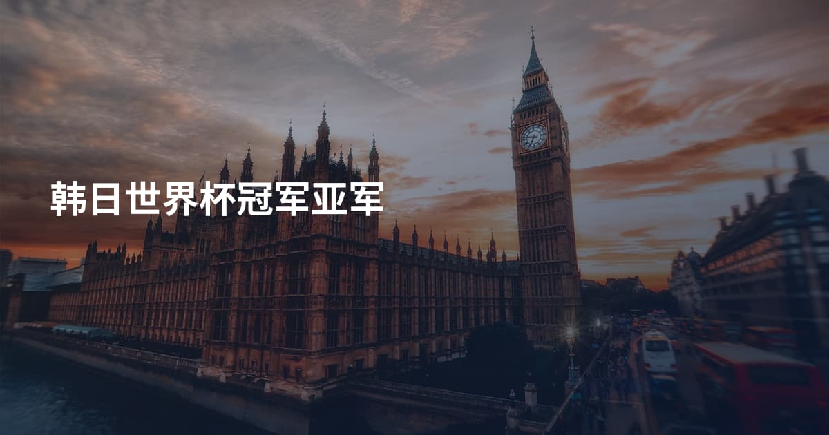 韩日世界杯冠军亚军