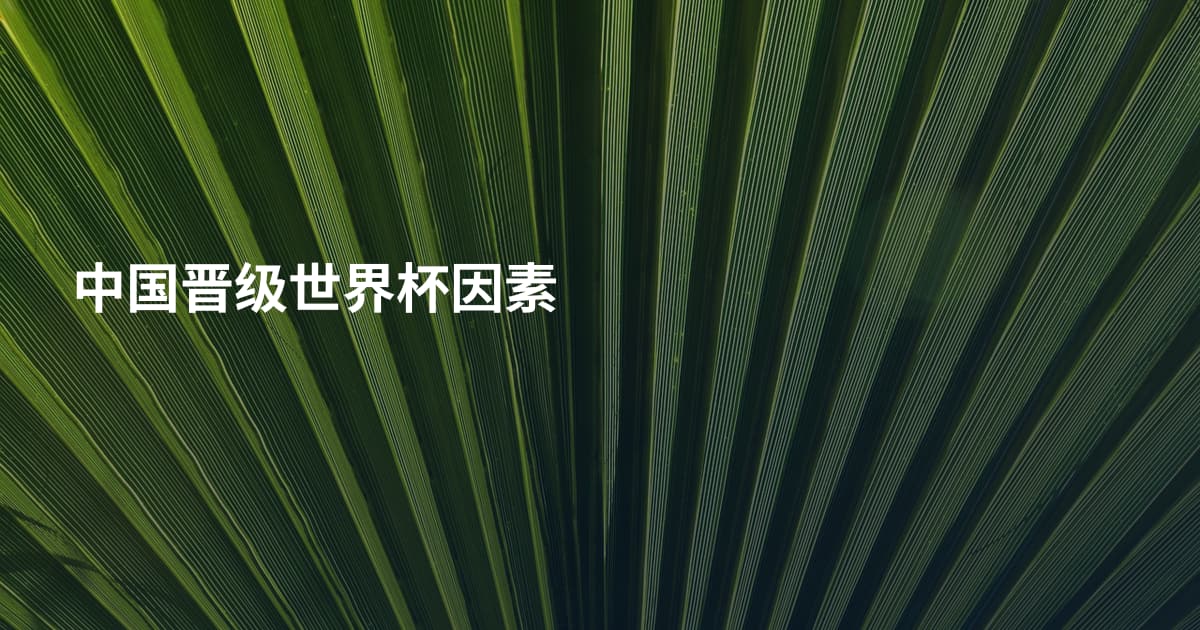 中国晋级世界杯因素