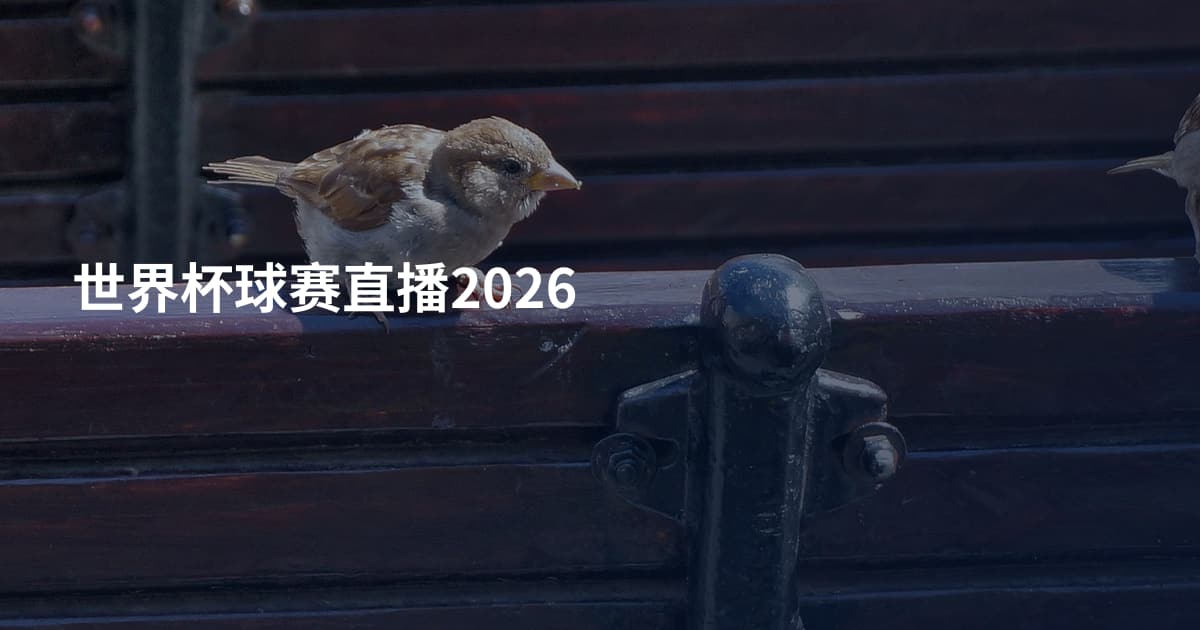 世界杯球赛直播2026