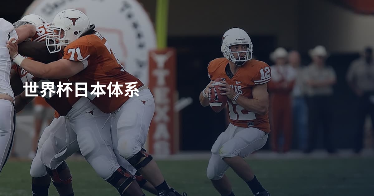 世界杯日本体系