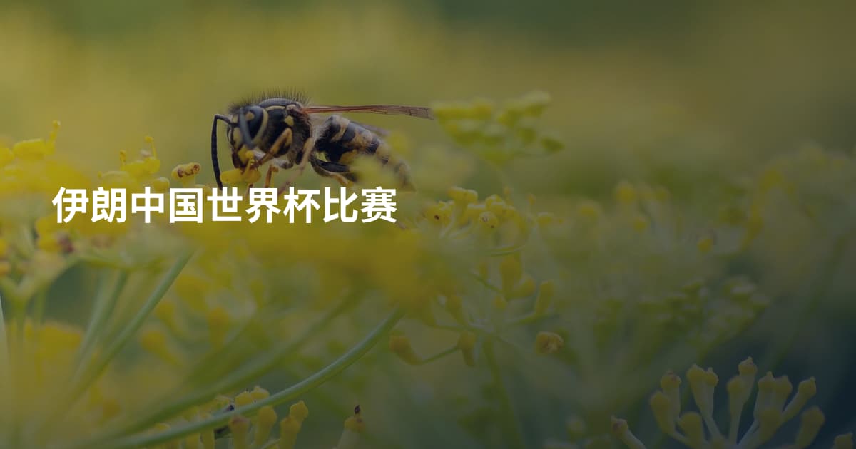 伊朗中国世界杯比赛