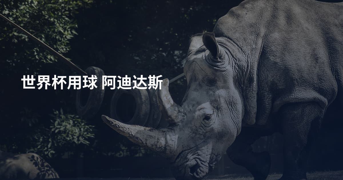 世界杯用球 阿迪达斯