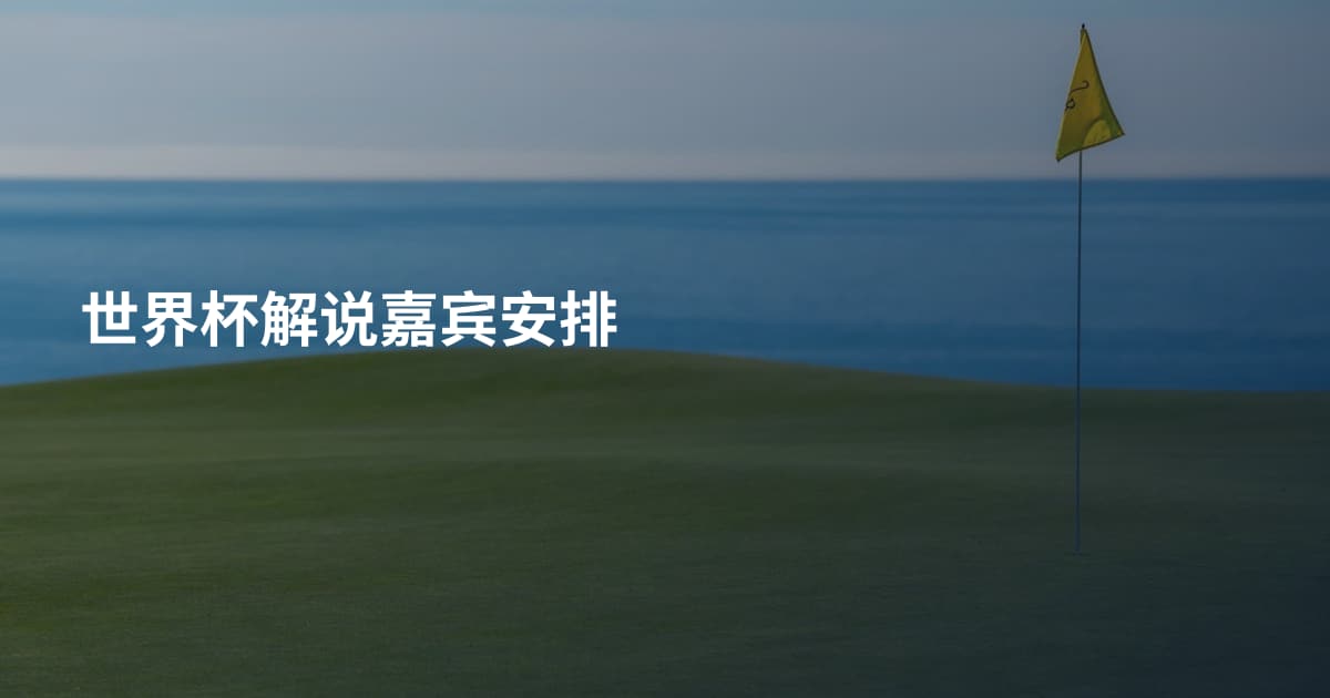 世界杯解说嘉宾安排