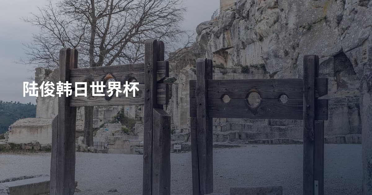 陆俊韩日世界杯