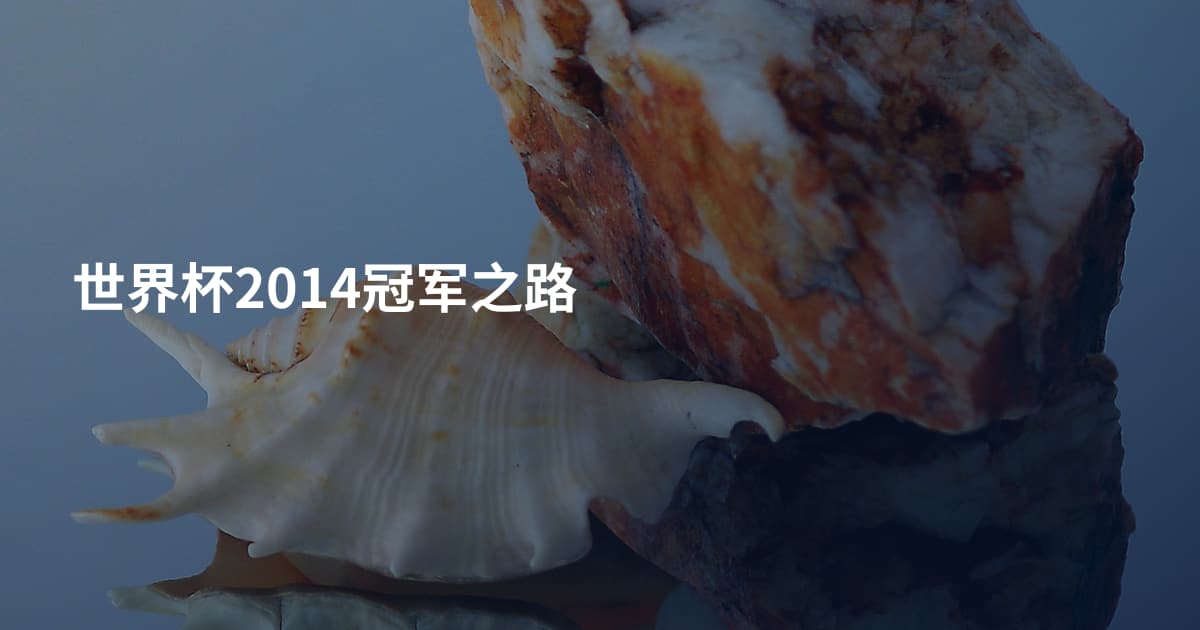 世界杯2014冠军之路