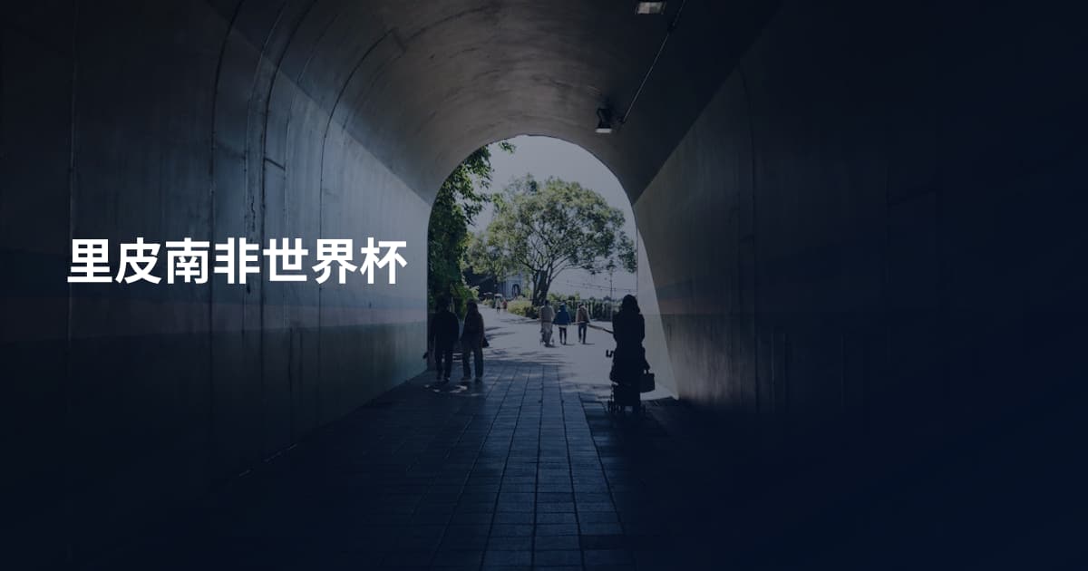 里皮南非世界杯