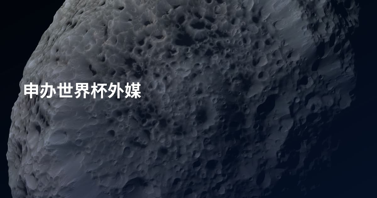 申办世界杯外媒