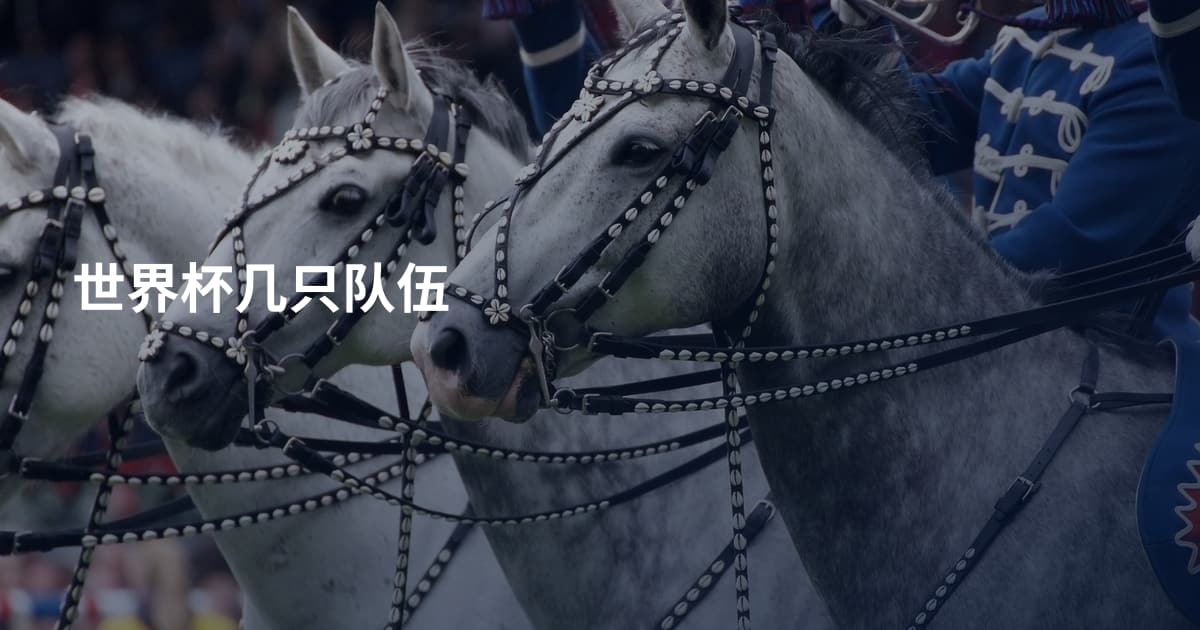 世界杯几只队伍
