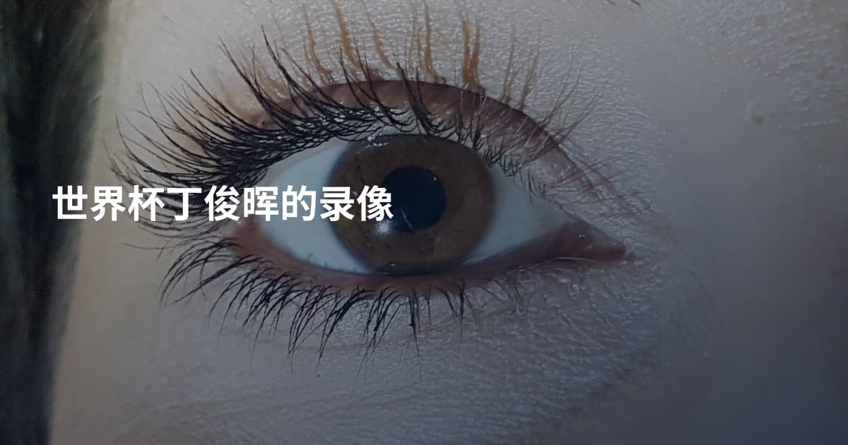 世界杯丁俊晖的录像