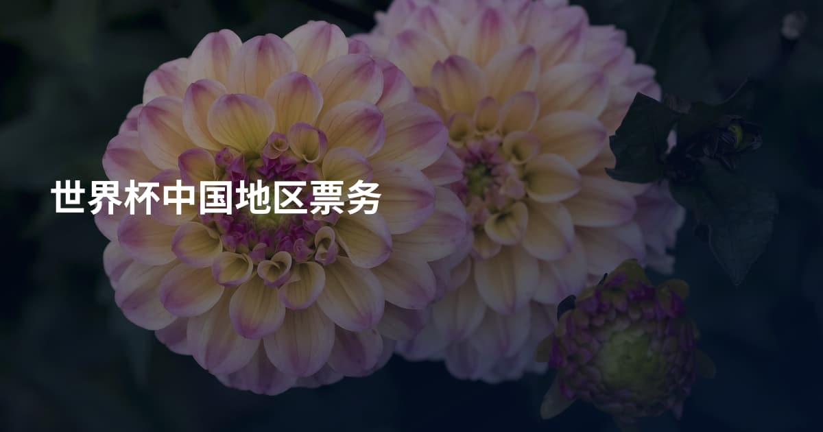 世界杯中国地区票务