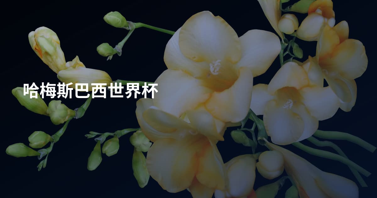 哈梅斯巴西世界杯