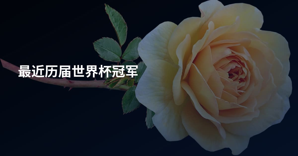 最近历届世界杯冠军