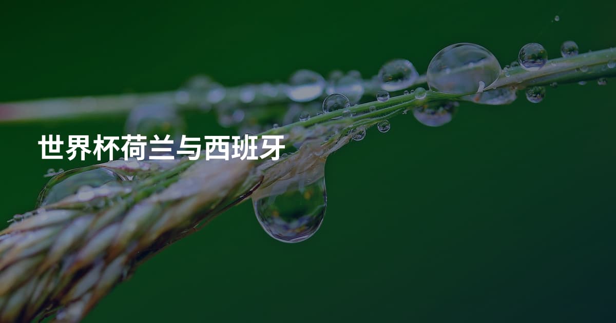 世界杯荷兰与西班牙