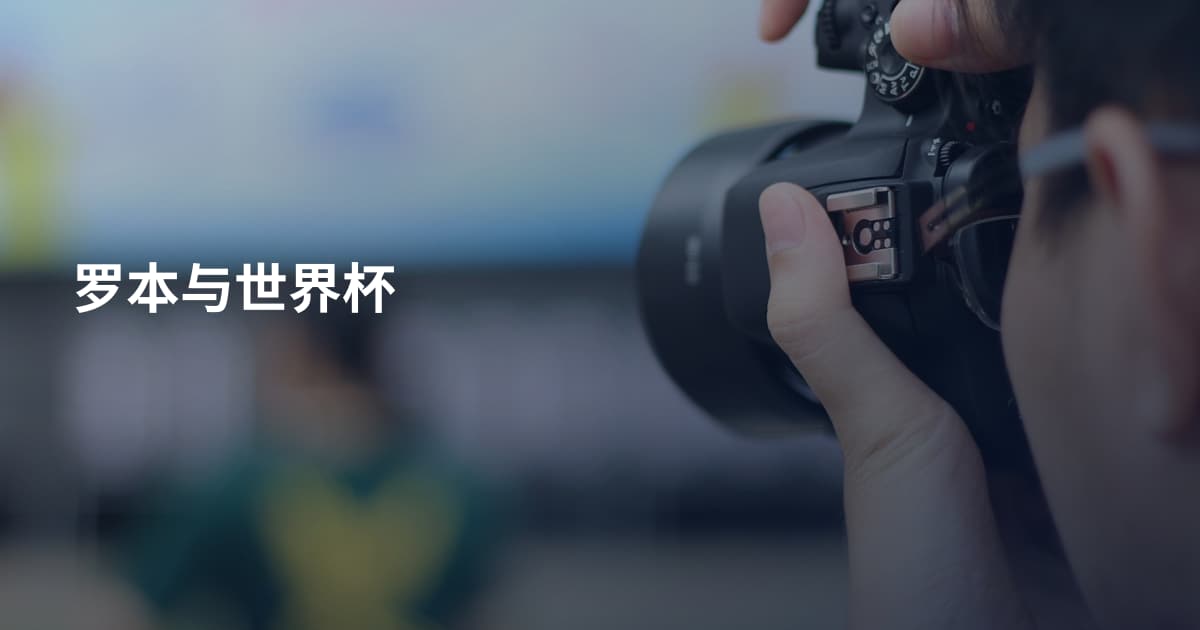 罗本与世界杯