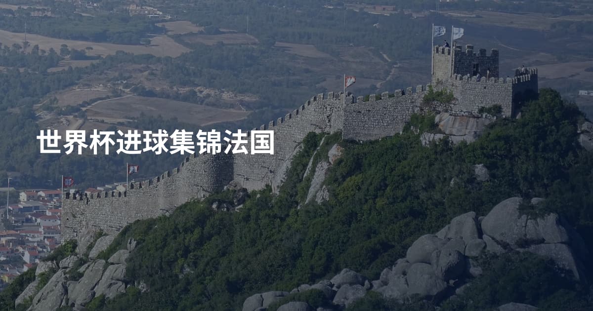 世界杯进球集锦法国