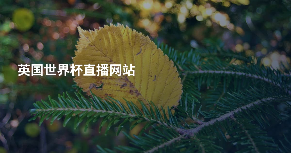 英国世界杯直播网站