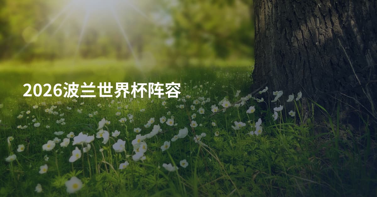 2026波兰世界杯阵容