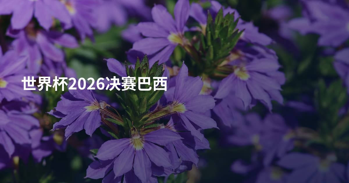 世界杯2026决赛巴西