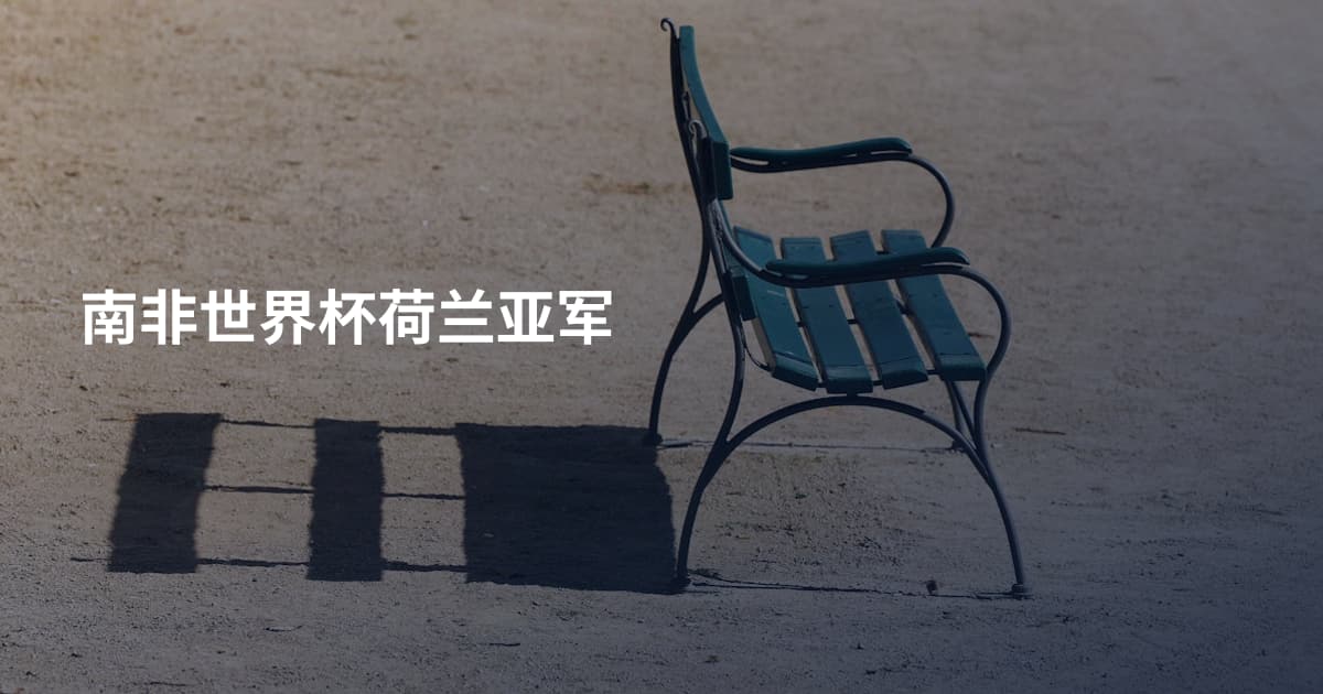 南非世界杯荷兰亚军