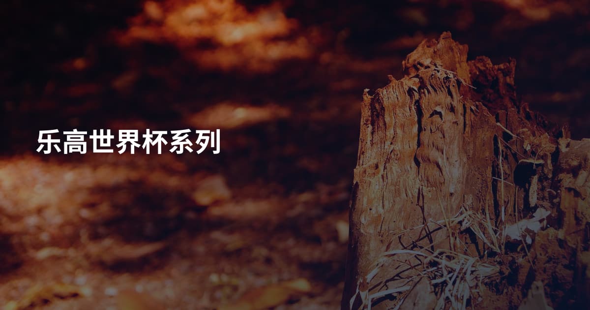 乐高世界杯系列