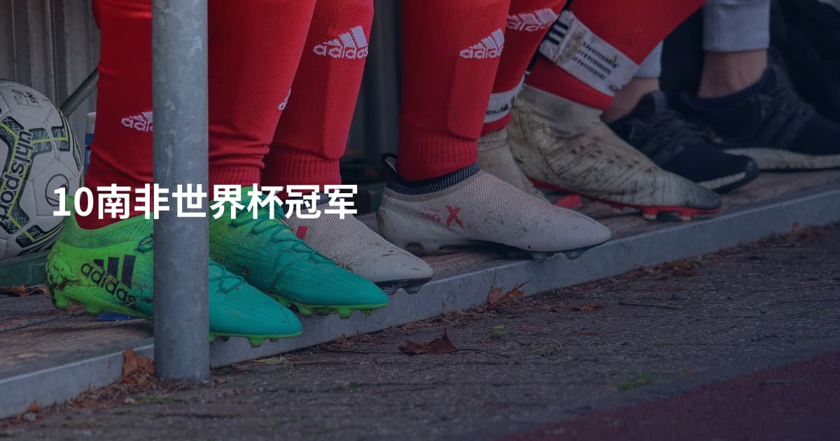 10南非世界杯冠军