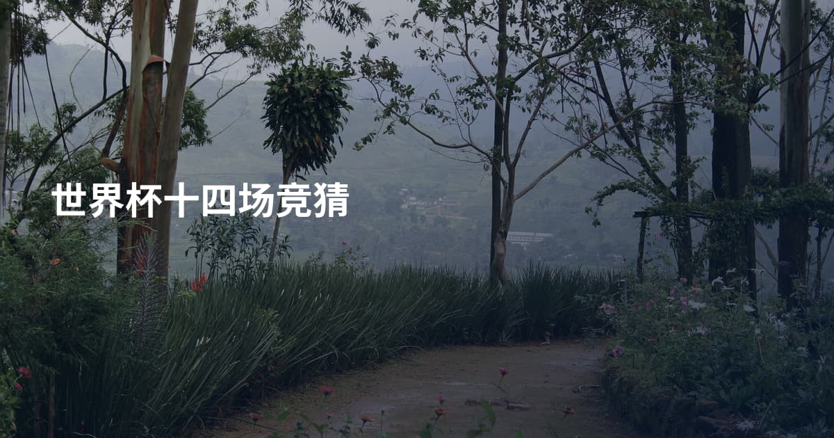 世界杯十四场竞猜