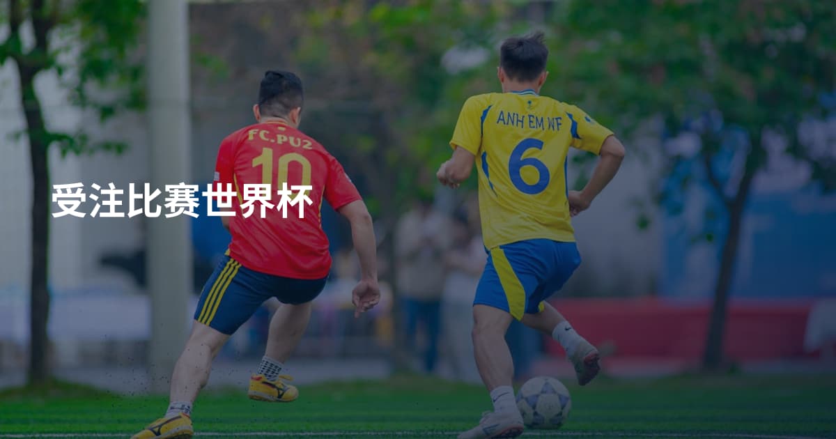 受注比赛世界杯