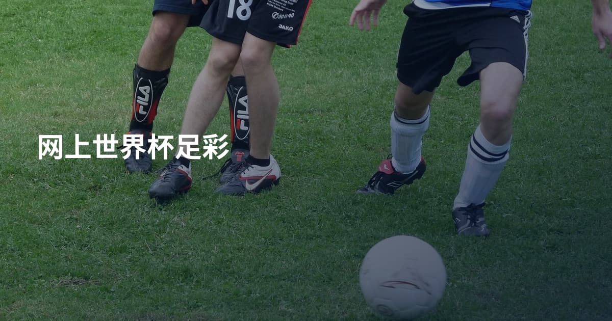 网上世界杯足彩