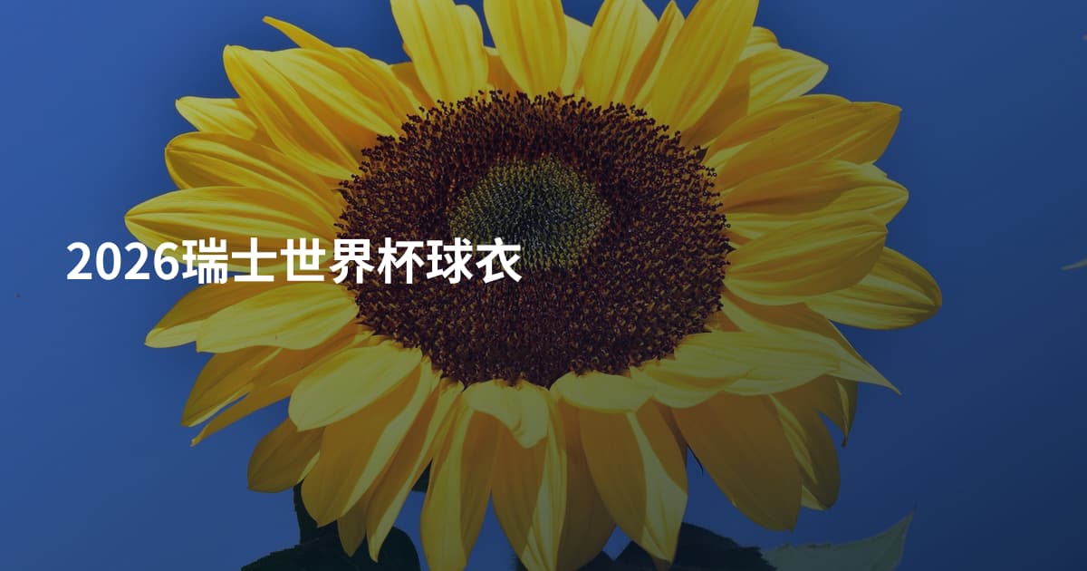 2026瑞士世界杯球衣