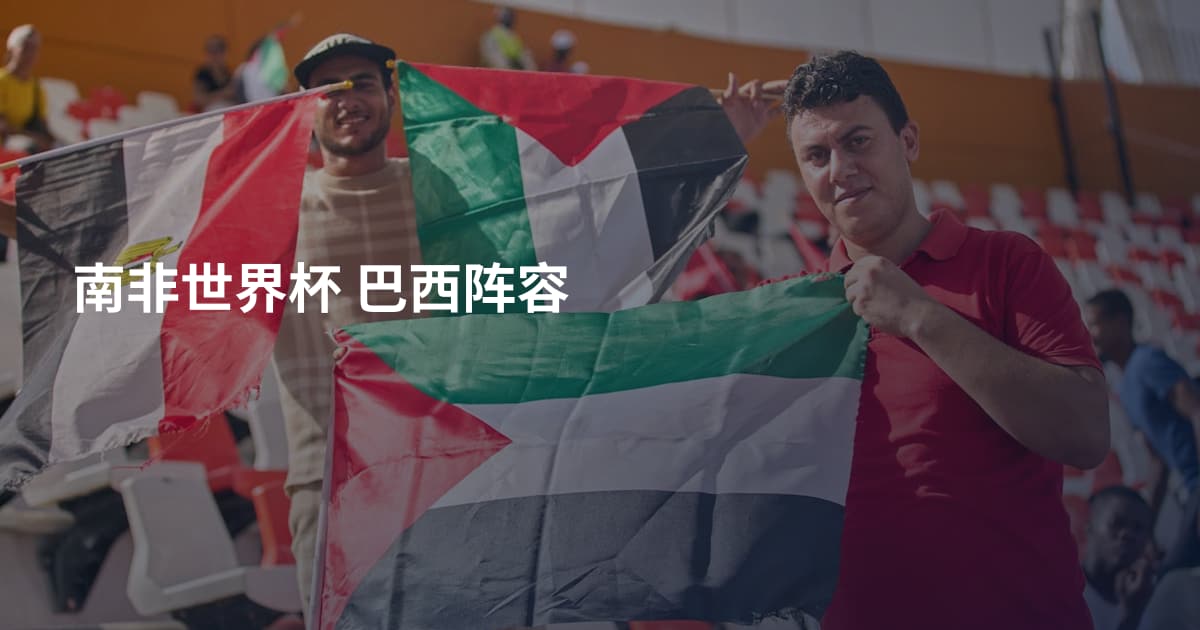南非世界杯 巴西阵容