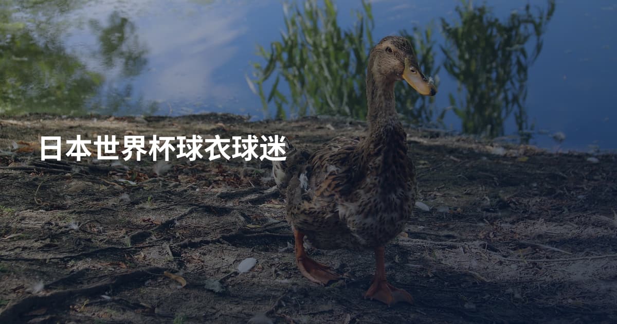 日本世界杯球衣球迷