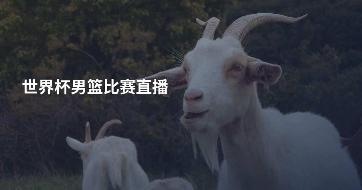世界杯男篮比赛直播