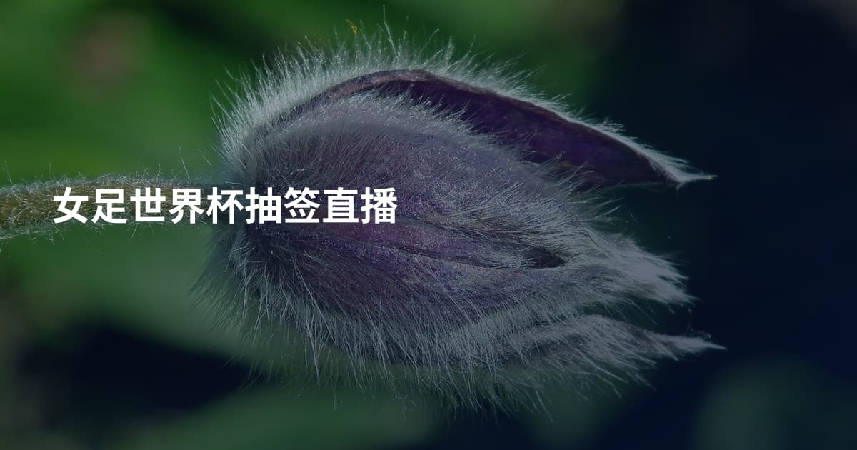 女足世界杯抽签直播