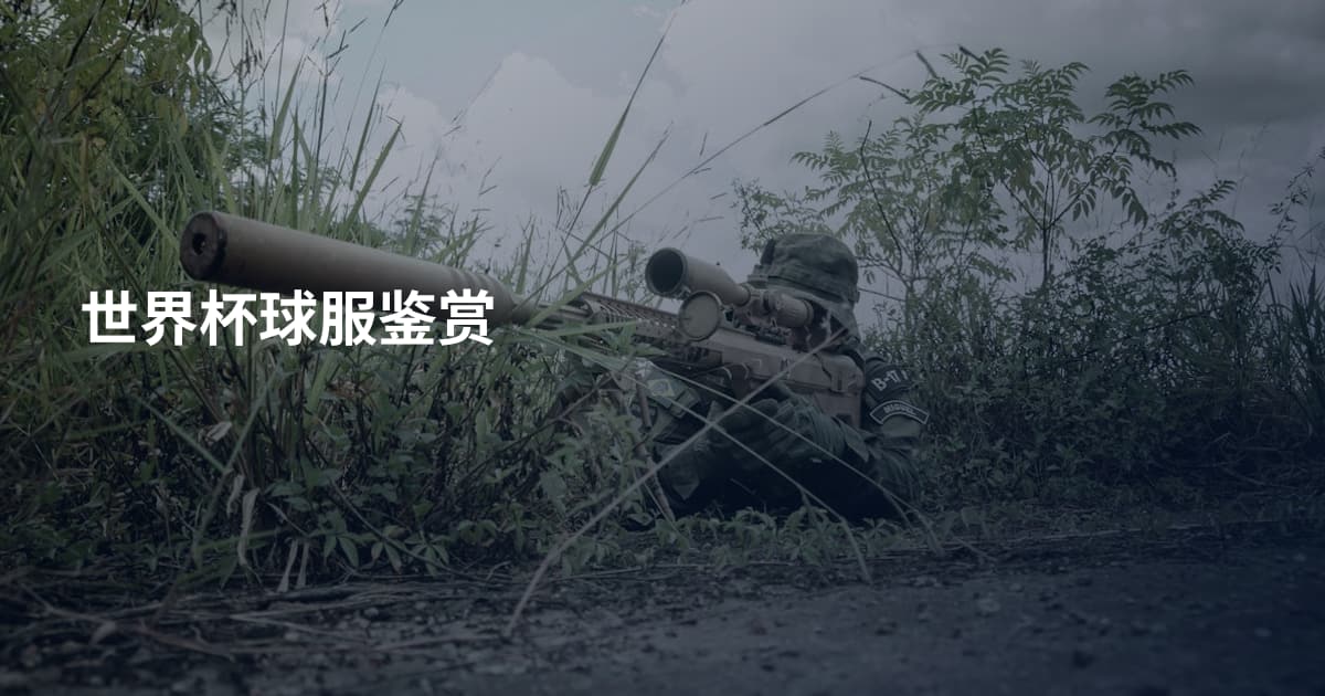 世界杯球服鉴赏