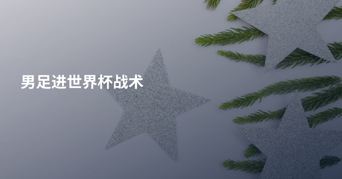 男足进世界杯战术