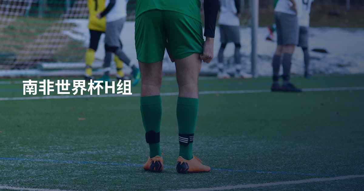南非世界杯H组